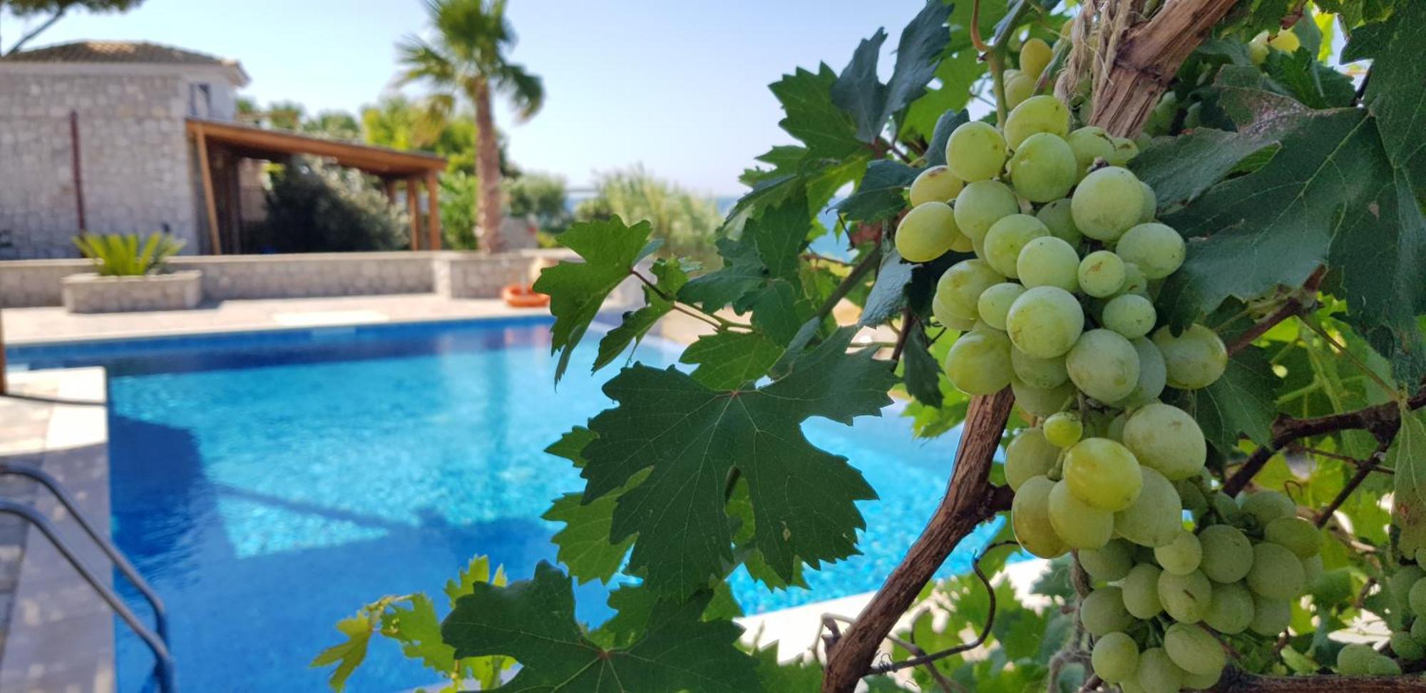 Villa Sealine Pefki Стая снимка